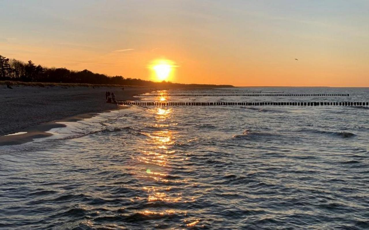 Parkresidenz Am Hafen Wohnung Hf 11 - Meerzeit Zingst Exteriör bild